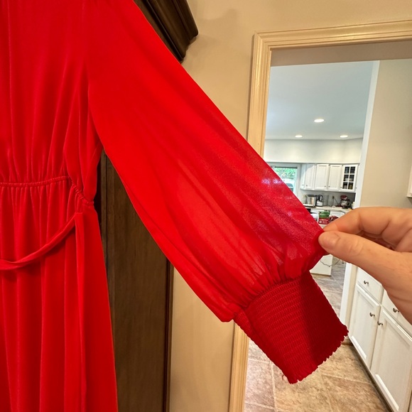 Gorgeous Red Dress w long, sheer sleeves; Gibson Latimer (Dillards) - Picture 2 of 3
